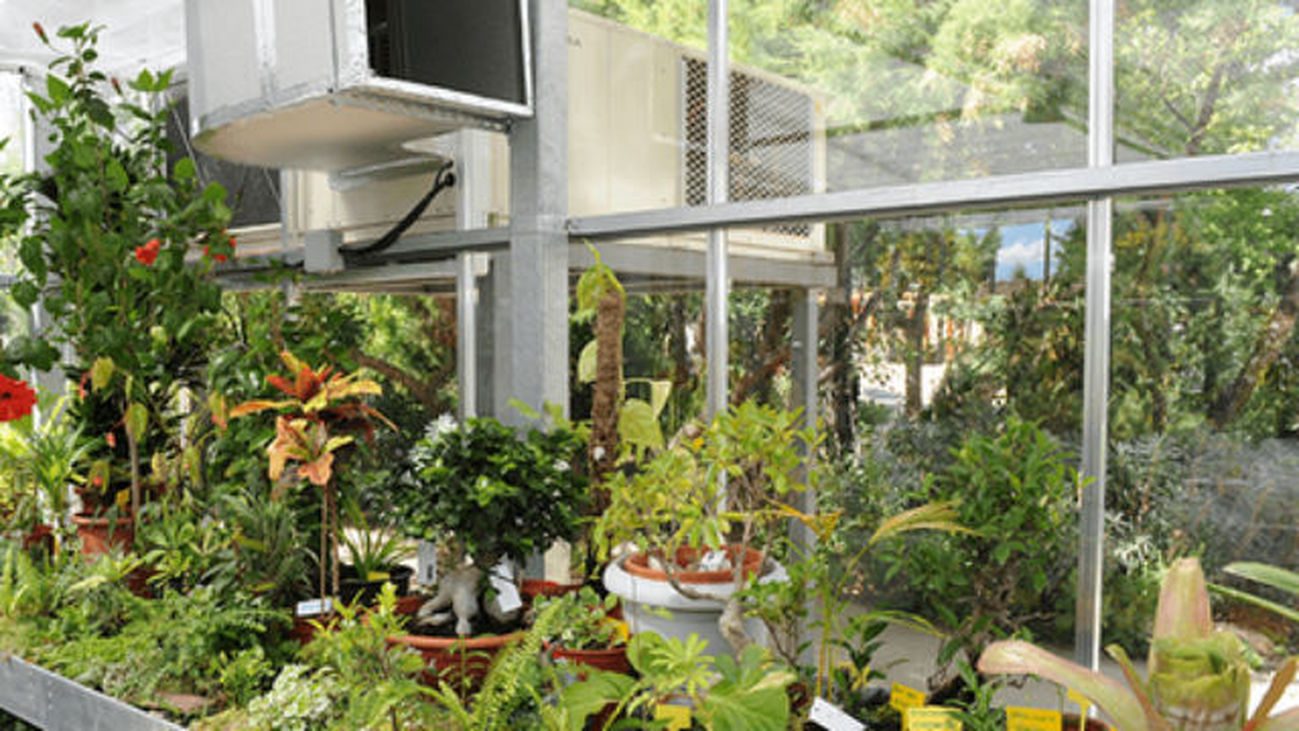 Un hospital de plantas en Pozuelo de Alarcón