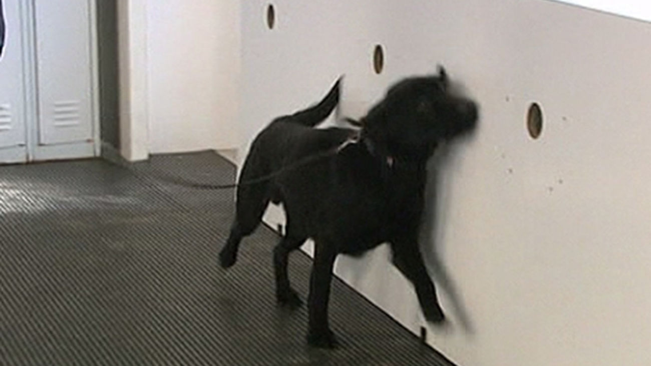 Todo preparado la inauguración de ARCO 2015