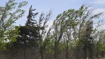 Bajan las temperaturas. Miércoles ventoso