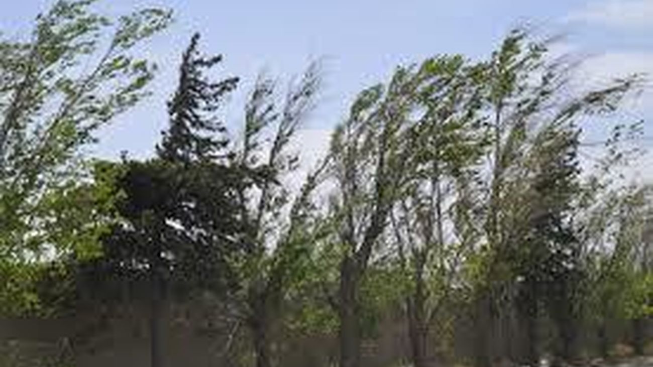 Bajan las temperaturas. Miércoles ventoso