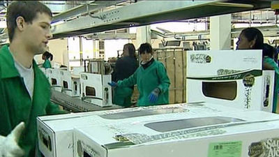 CEIM pide políticas municipales que atraigan inversiones y aceleren la creación de empleo