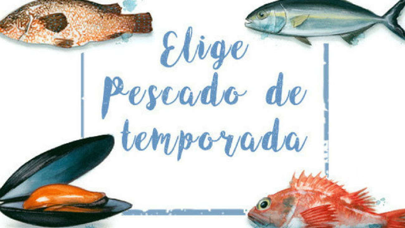 Greenpeace presenta una web para ayudarte a consumir pescado de temporada