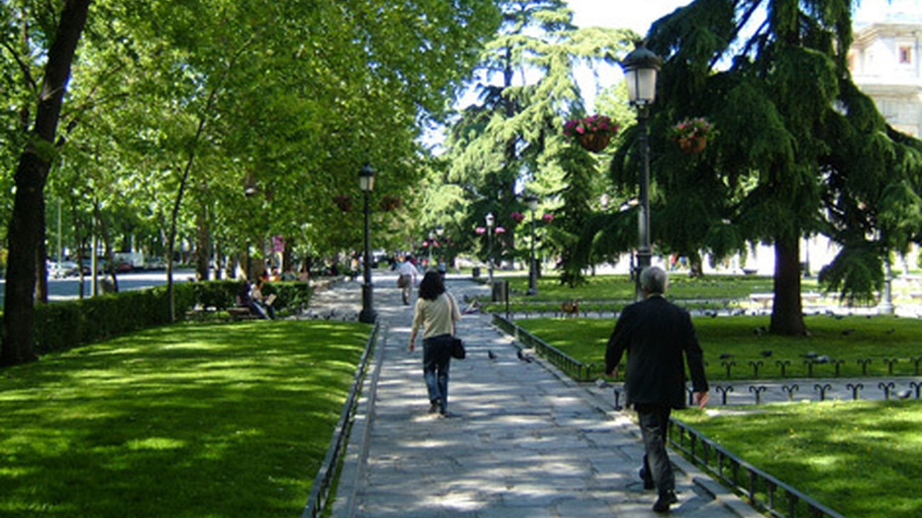 Inversión millonaria para la renovación del Paseo de Recoletos