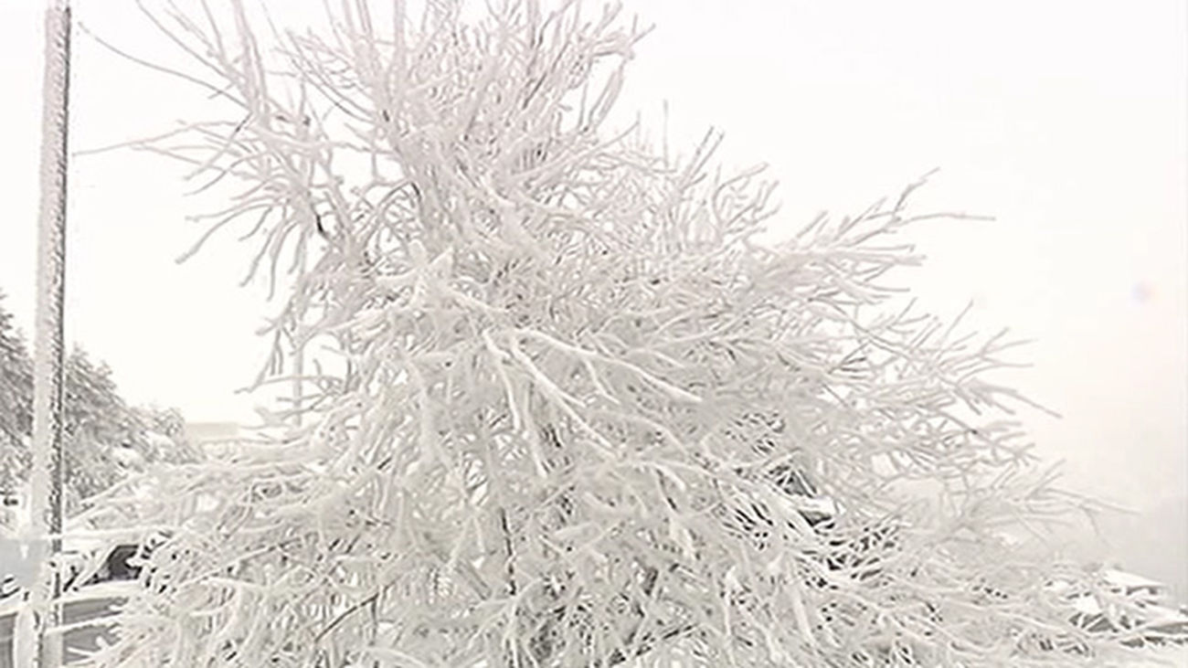 Lunes bajo cero en muchos puntos de la Comunidad de Madrid. Los madrileños opinan