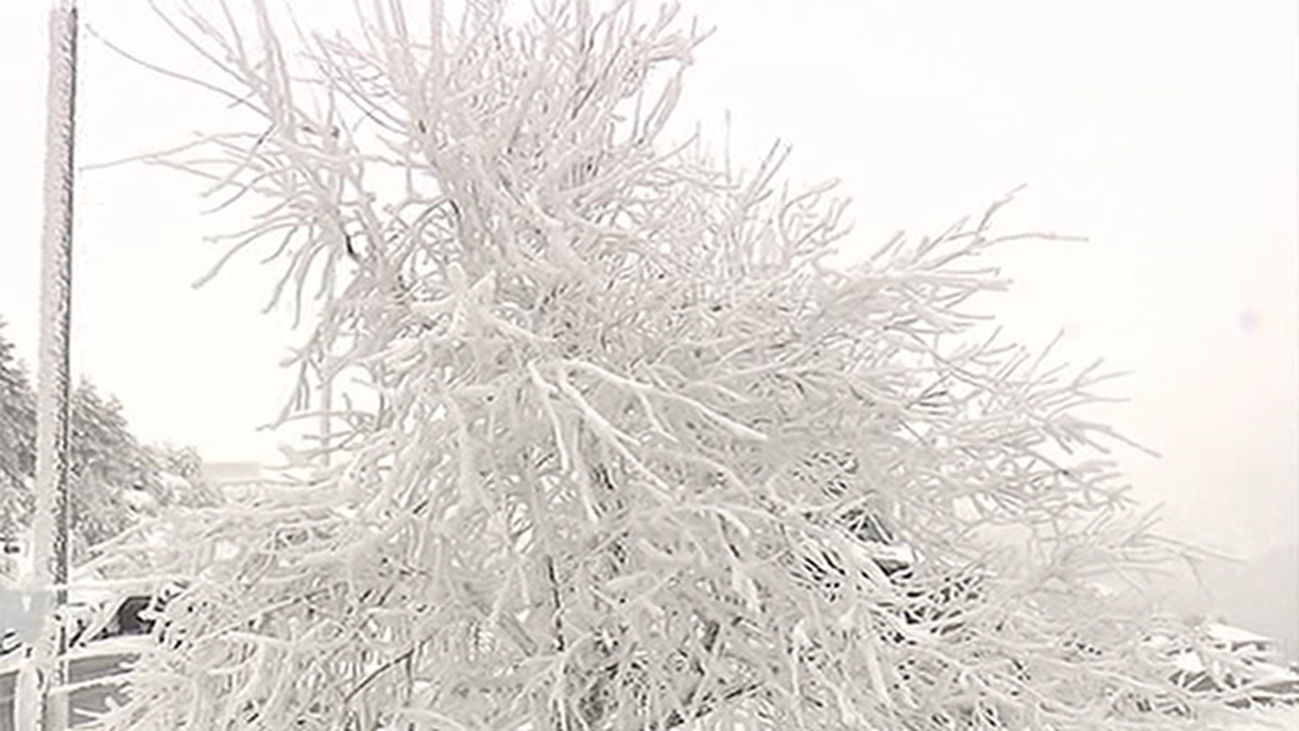 Lunes bajo cero en muchos puntos de la Comunidad de Madrid. Los madrileños opinan