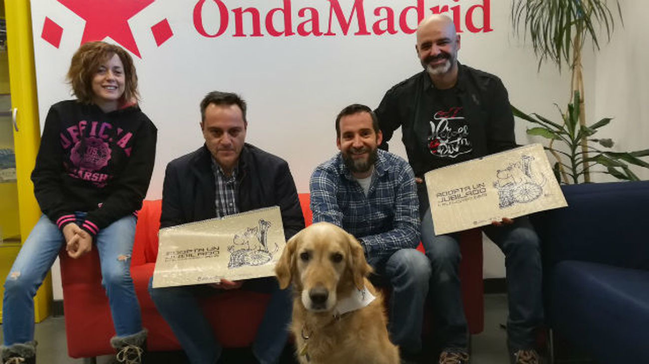 Madrid sin Fronteras: Héroes de cuatro patas, adopta un 'jubilado' 28.12.2017