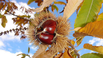 Mejorando durante el día