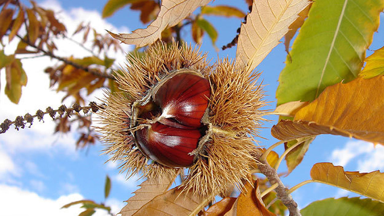Mejorando durante el día