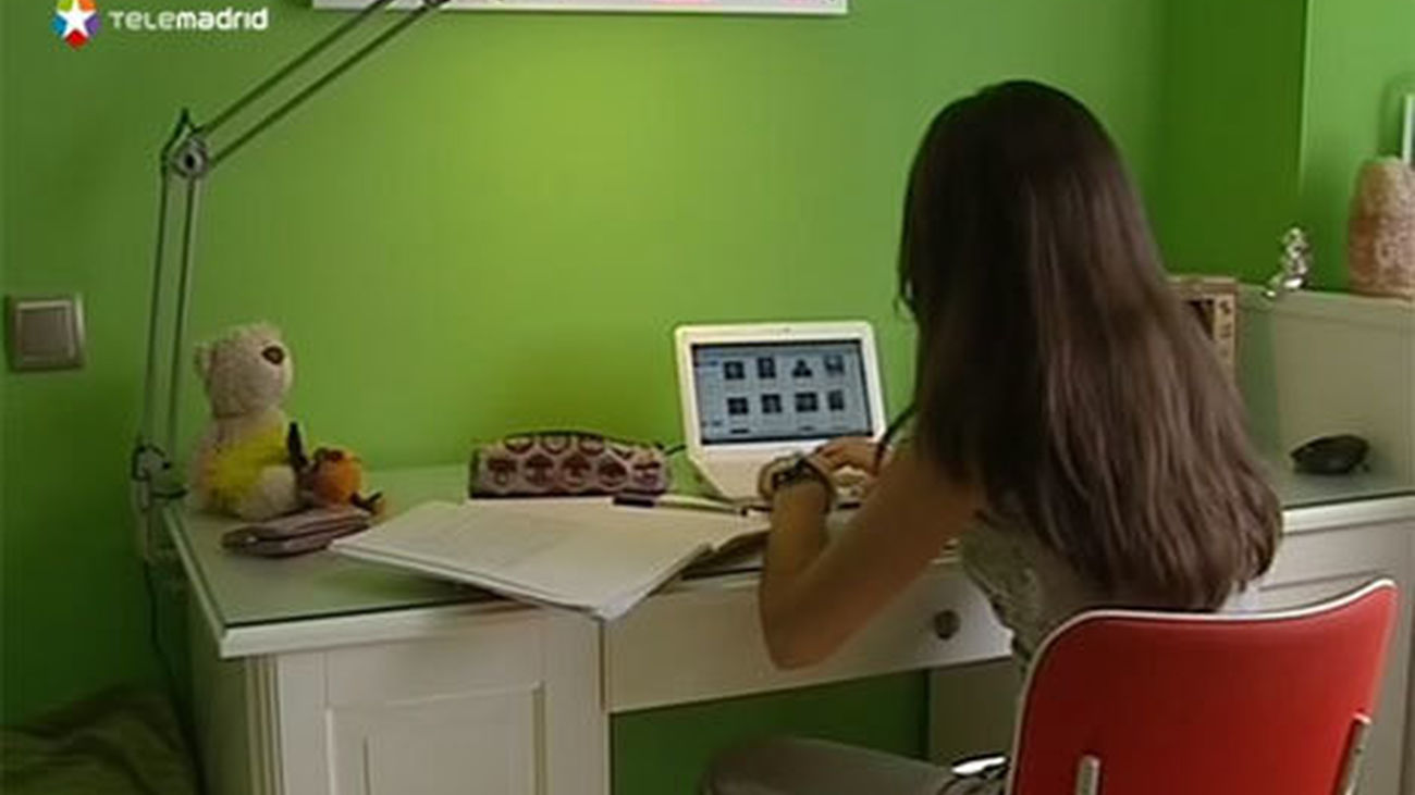 Presentan una guía contra el ciberacoso a menores dirigida a las familias y a los docentes