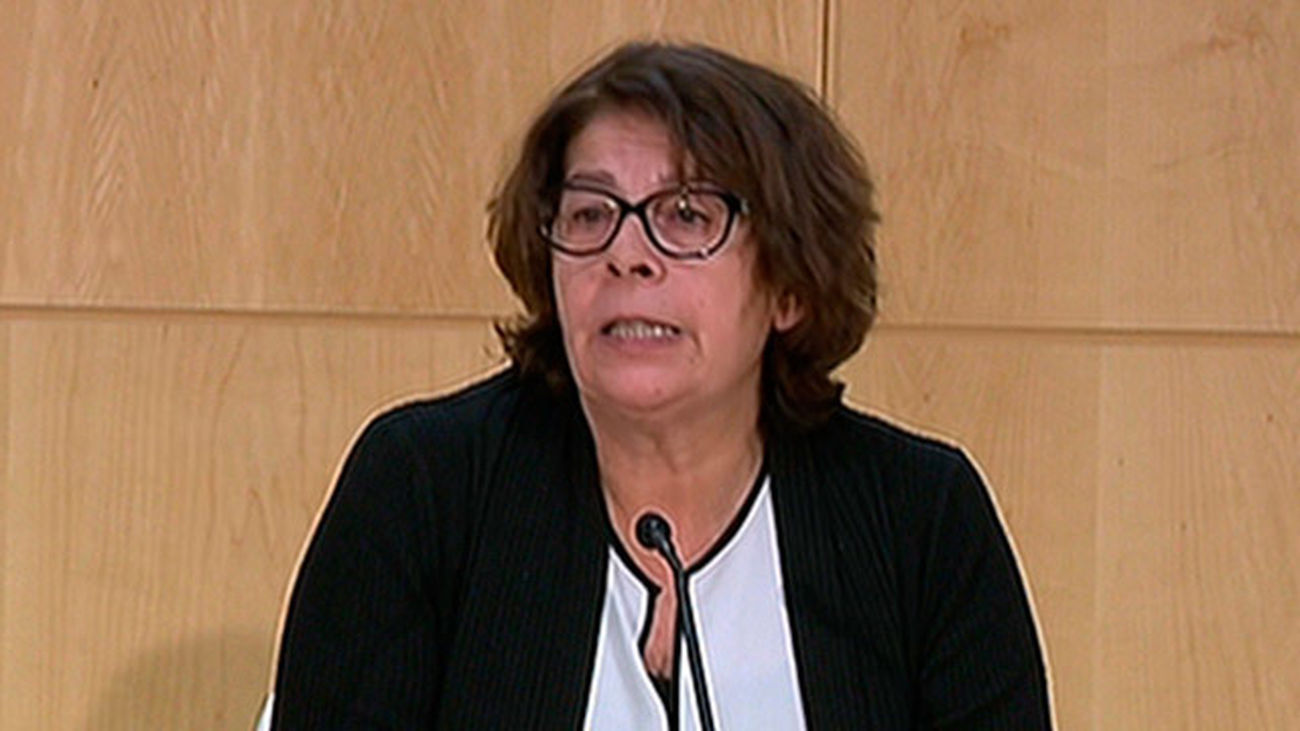 Sabanés reconoce que Madrid todavía no ha conseguido el objetivo de limpieza