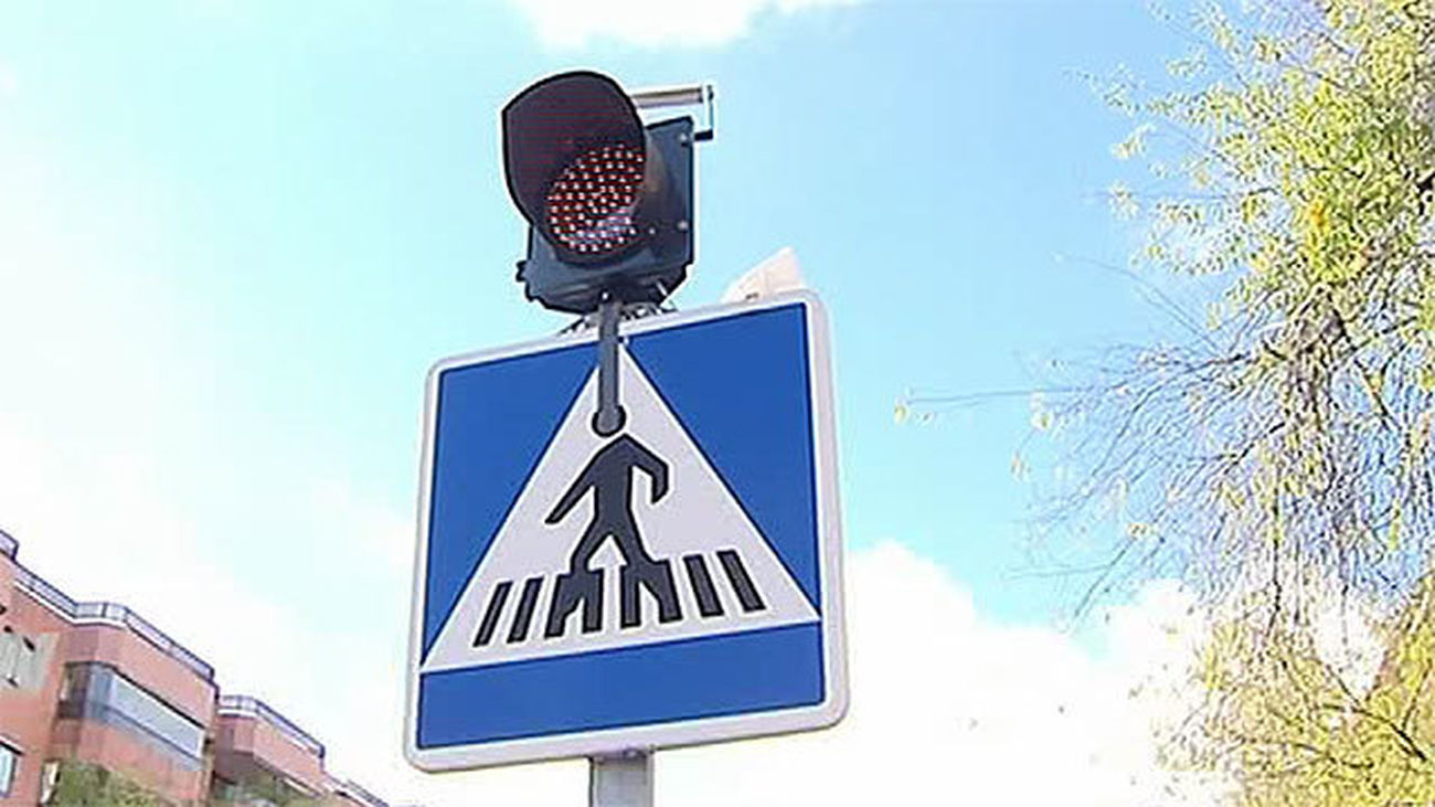 Cada año se producen en España unos 11.000 atropellos