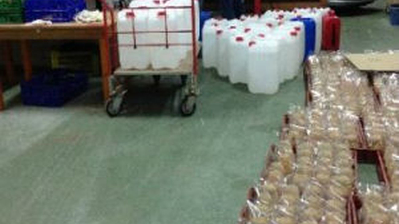 El estramonio, nueva droga entre los jovenes