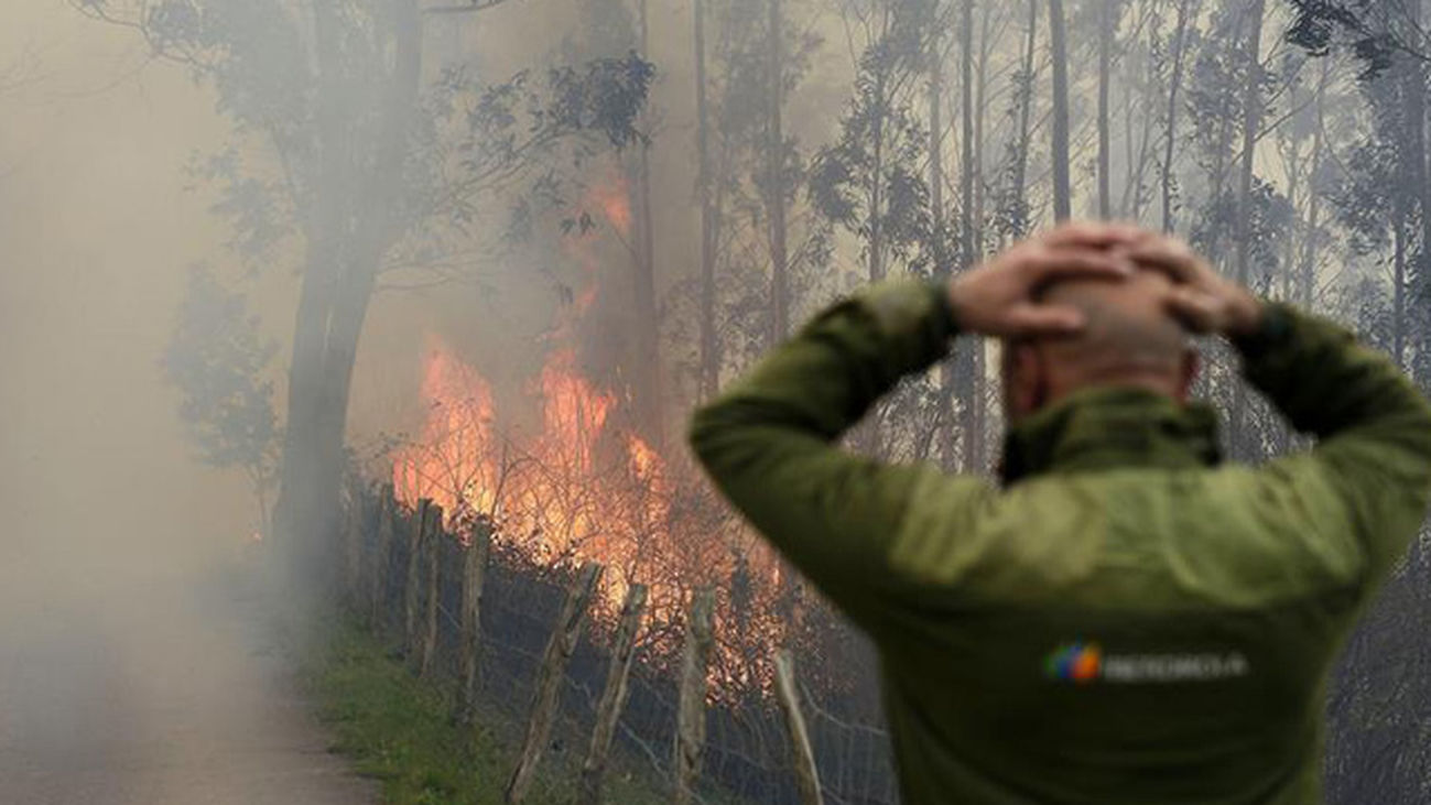 La organización ecologista WWF informa sobre el riegos de los incendios