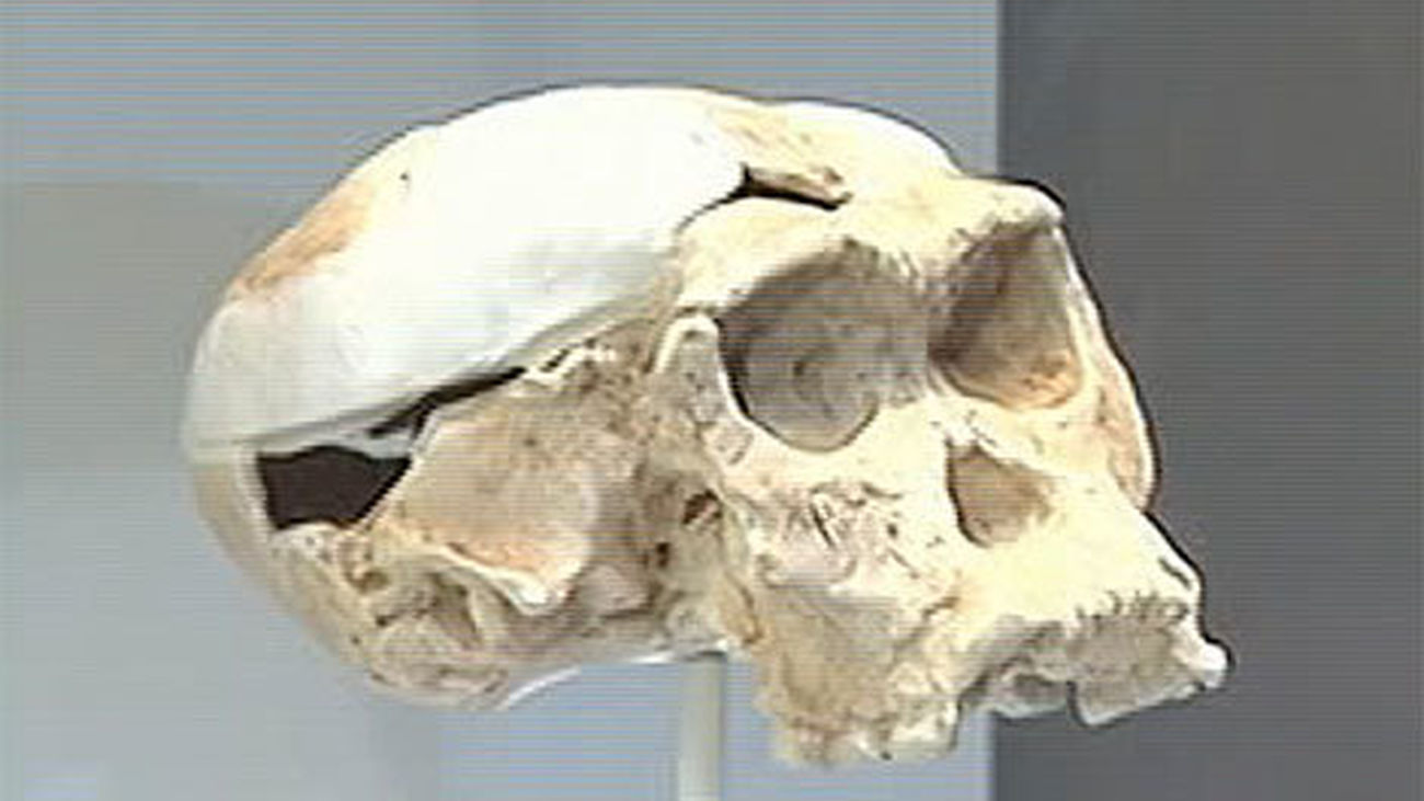 Más de 47.000 personas han visitado  ya la muestra 'La Cuna de la Humanidad'