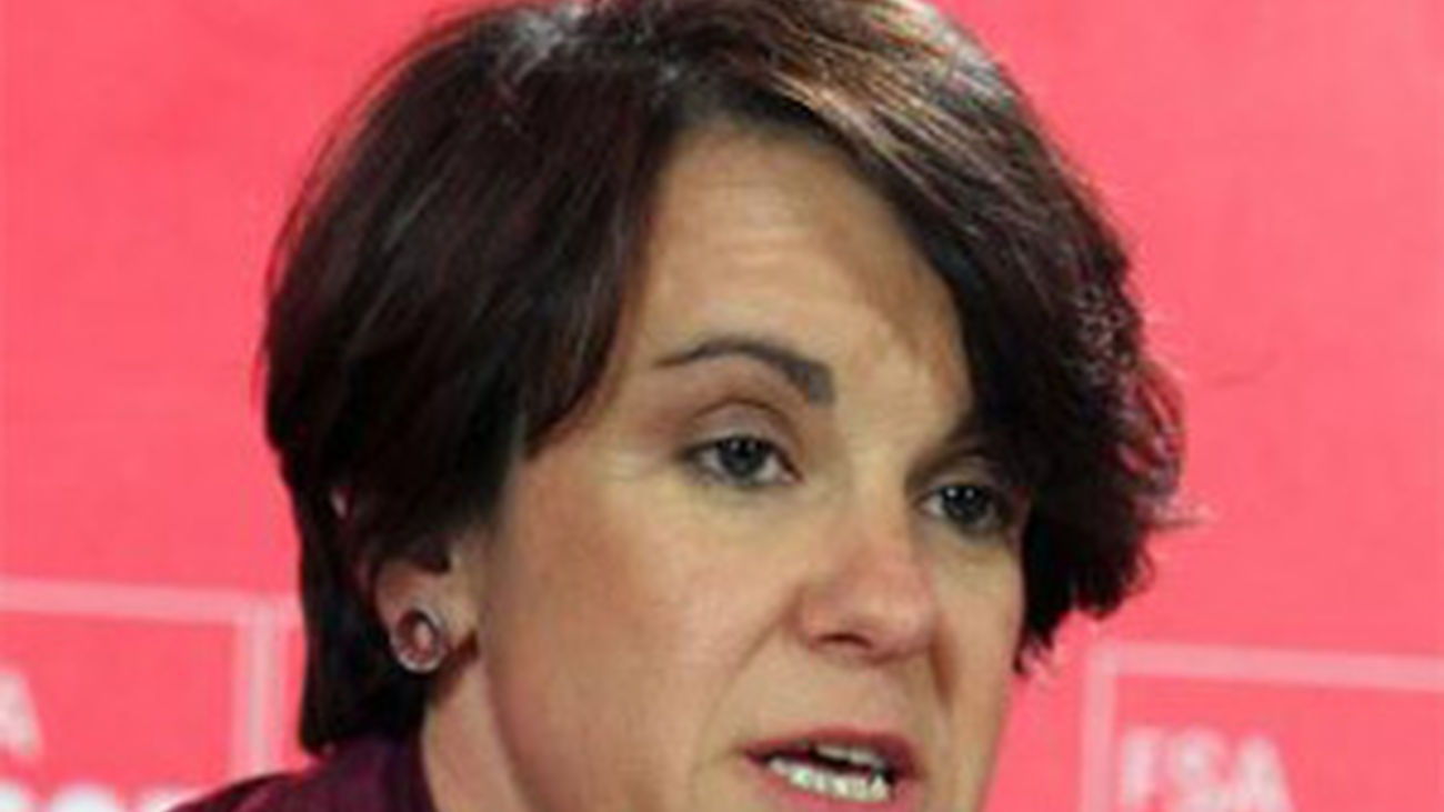 El grupo socialísta en el ayuntamiento quiere depurar posibles responsabilidades de la trama Púnica