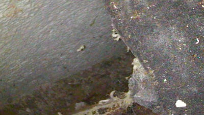 Arrancan las obras para habilitar un acceso a la cripta del Valle de los Caídos