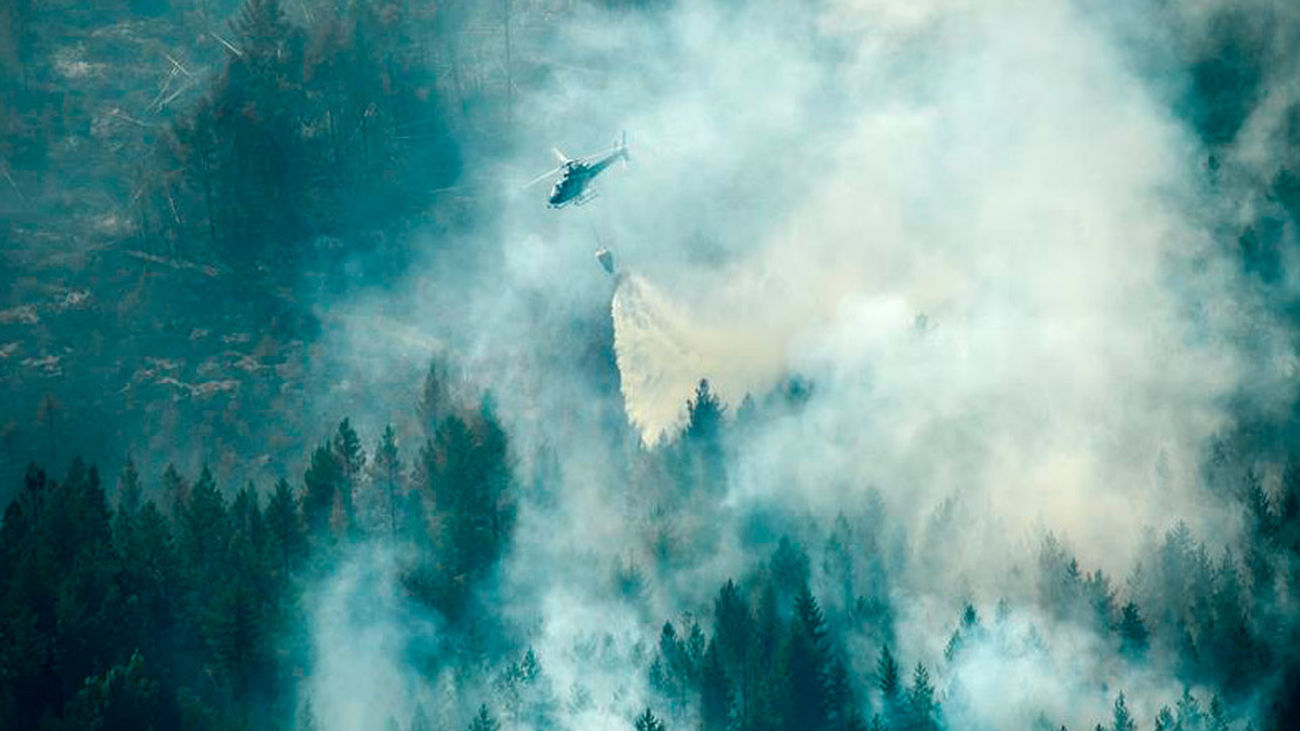 Suecia, acosada por incendios en una inusitada ola de calor escandinavo
