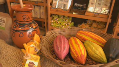 Cacao, la bebida de los dioses y el chocolate de hoy