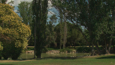 Móstoles inicia la remodelación del Parque Natural de El Soto