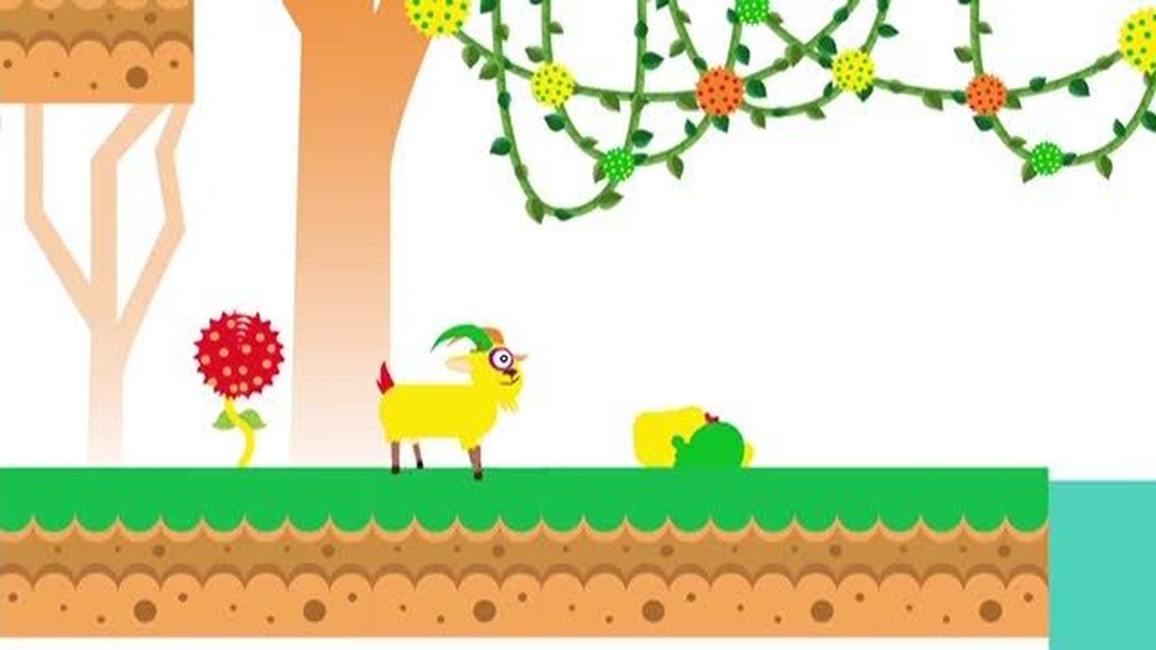 Aquí hay madroño 23.07.2018