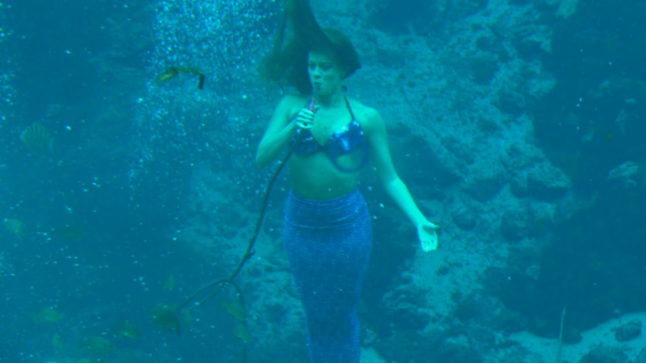 ¿Existen las sirenas? Nosotros las hemos visto en el parque Weeki Wachee