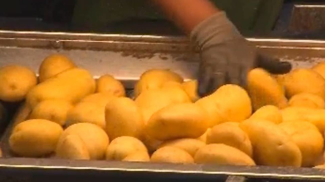 La patata castiza: autóctona de La Comunidad de Madrid