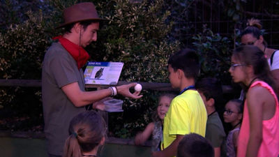 El zoo también se vive de noche