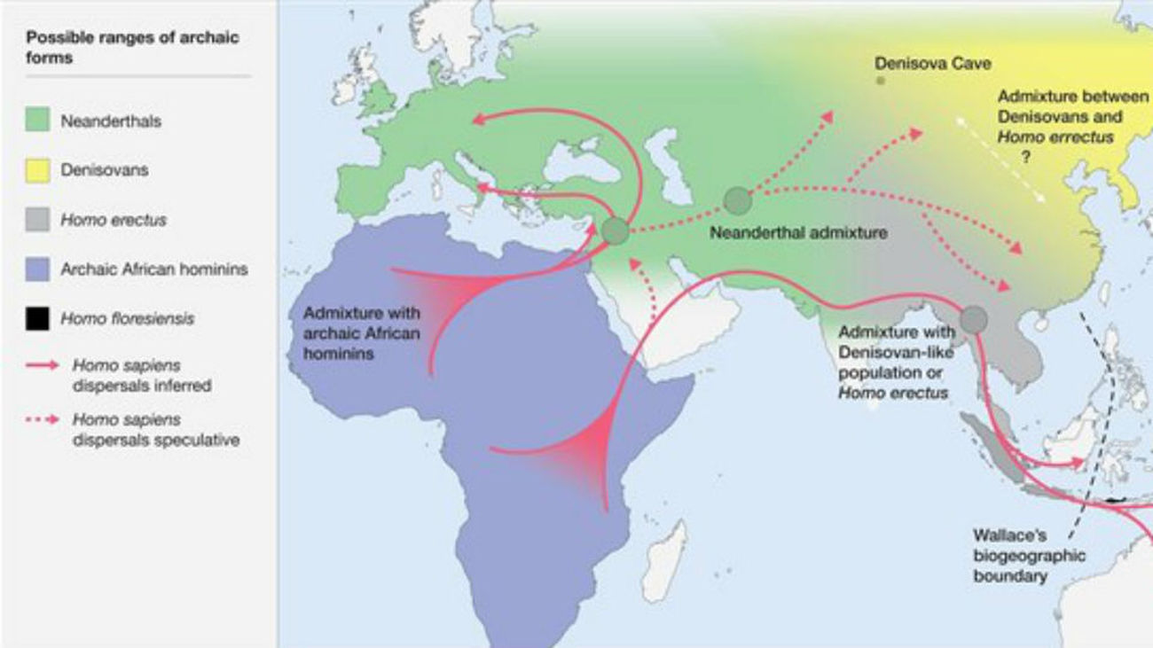El Homo sapiens creó un nuevo nicho ecológico que hizo prevalecer a la especie humana actual