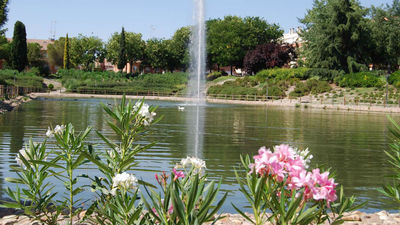 Valdemoro instala un nuevo sistema para mejorar el estado de los lagos del parque de España