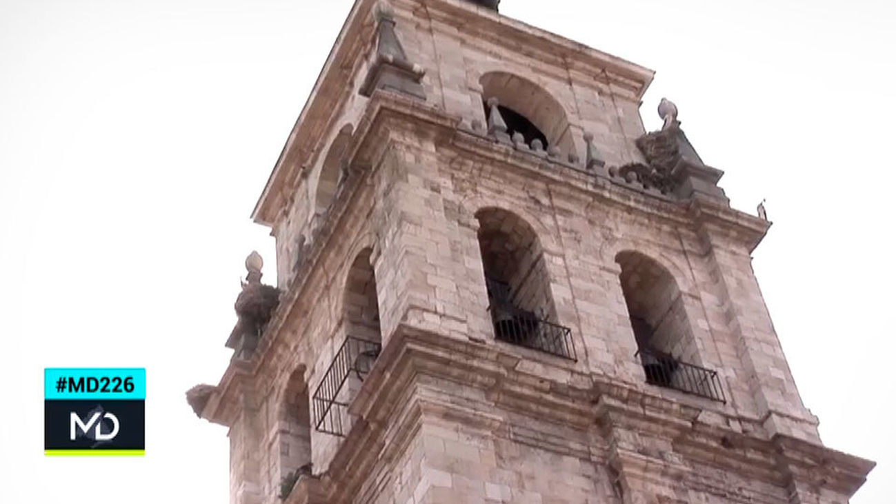 Visitas especiales a la Torre de la Magistral de Alcalá de Henares