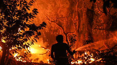 California registra el peor incendio de su historia, con 114.800 hectáreas quemadas