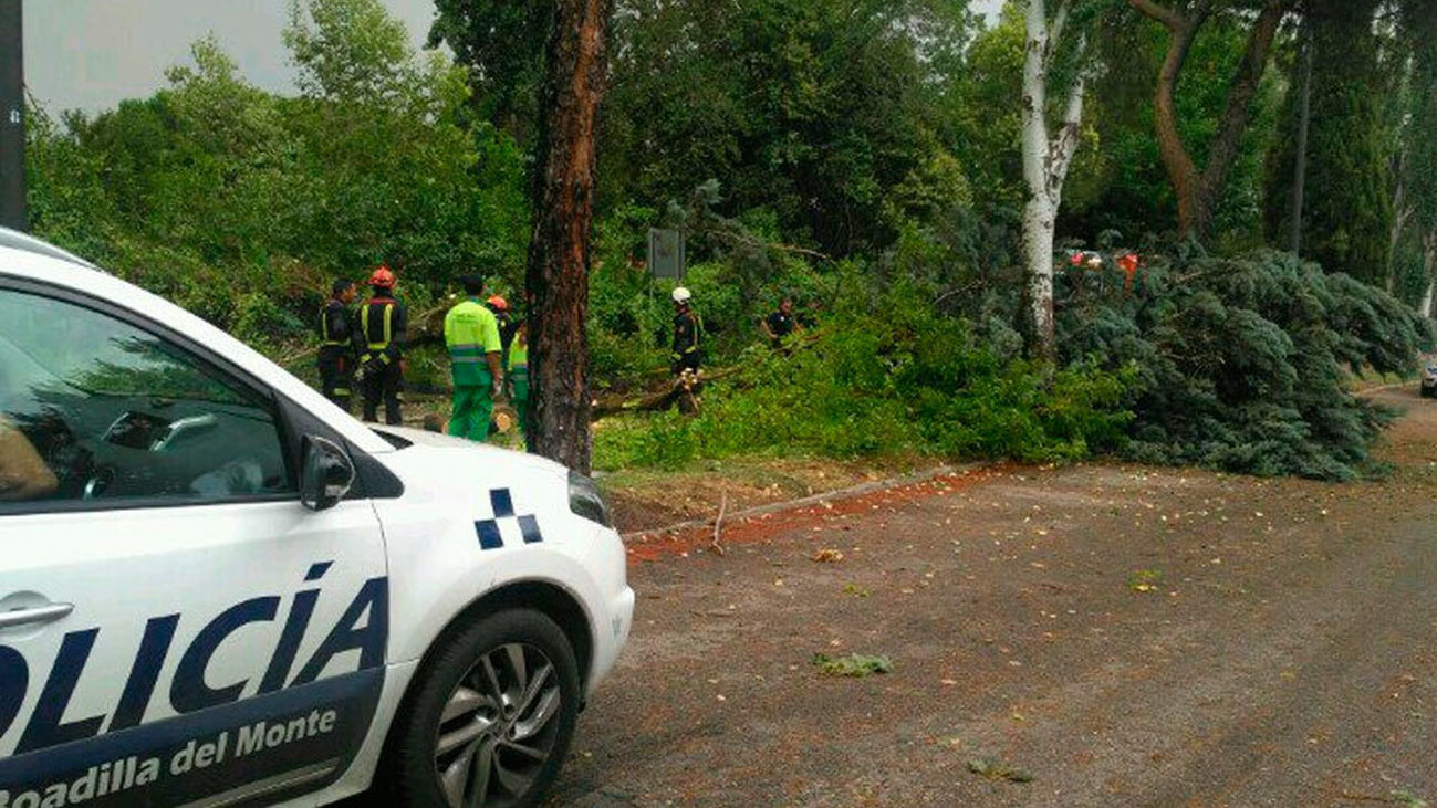 Los bomberos efectúan más de 320 salidas por la tormenta
