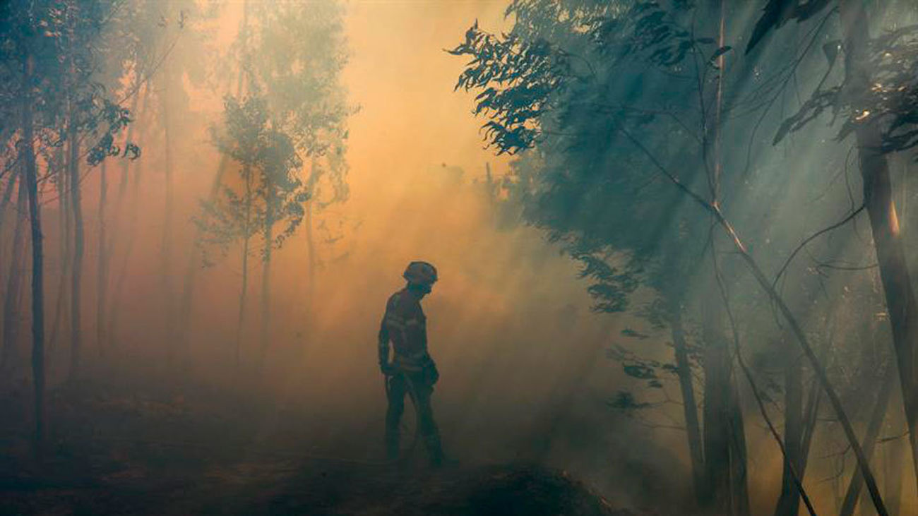 incendio Portugal