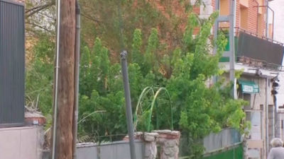 Maleza seca al lado de una guardería en Colmenar viejo