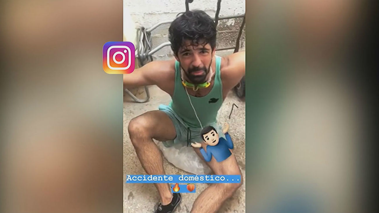 Animales y chapuzones contra el calor