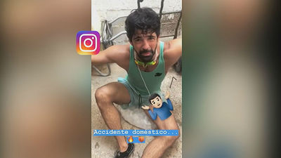 Animales y chapuzones contra el calor