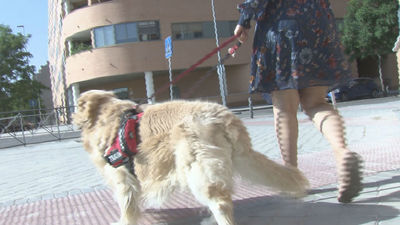 Isabel pide ayuda para adiestrar a su perro