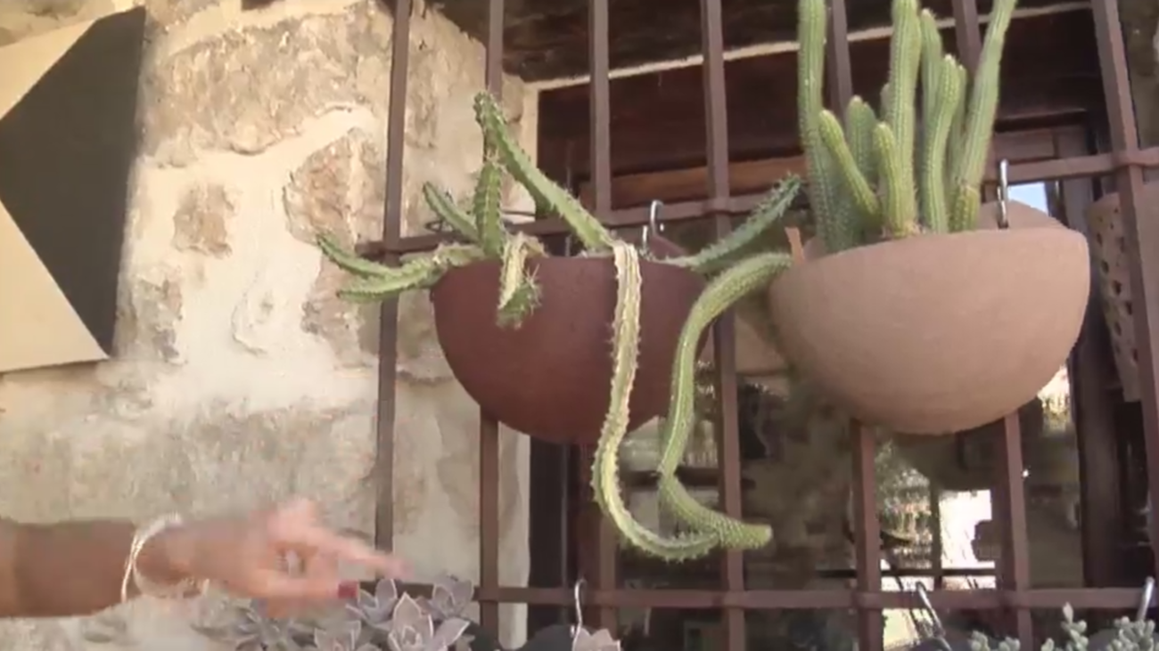 Macetas ecológicas al alcance de todos