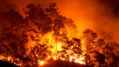 Más de la mitad de incendios en la Comunidad de Madrid son "intencionados"