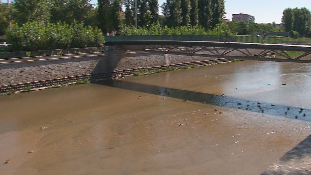 El río Manzanares inicia su renatutalización tras el desembalse de la presa 9