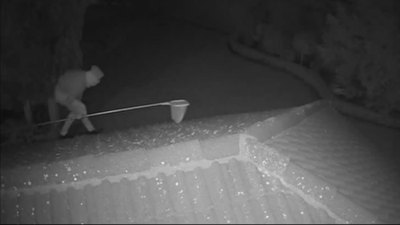 Así actuaba la banda de albaneses "silenciosos"