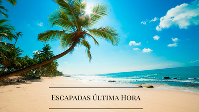 ¡Cuidado con los chollos de viajes que encontramos en internet!