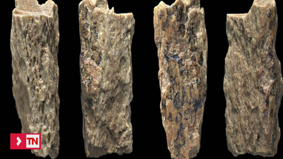 La primera mujer híbrida, mezcla de dos especies, descubierta en Rusia