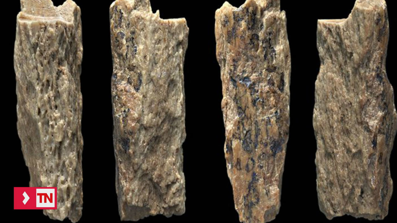 La primera mujer híbrida, mezcla de dos especies, descubierta en Rusia