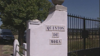 Quintos de Mora, un enclave político en Toledo