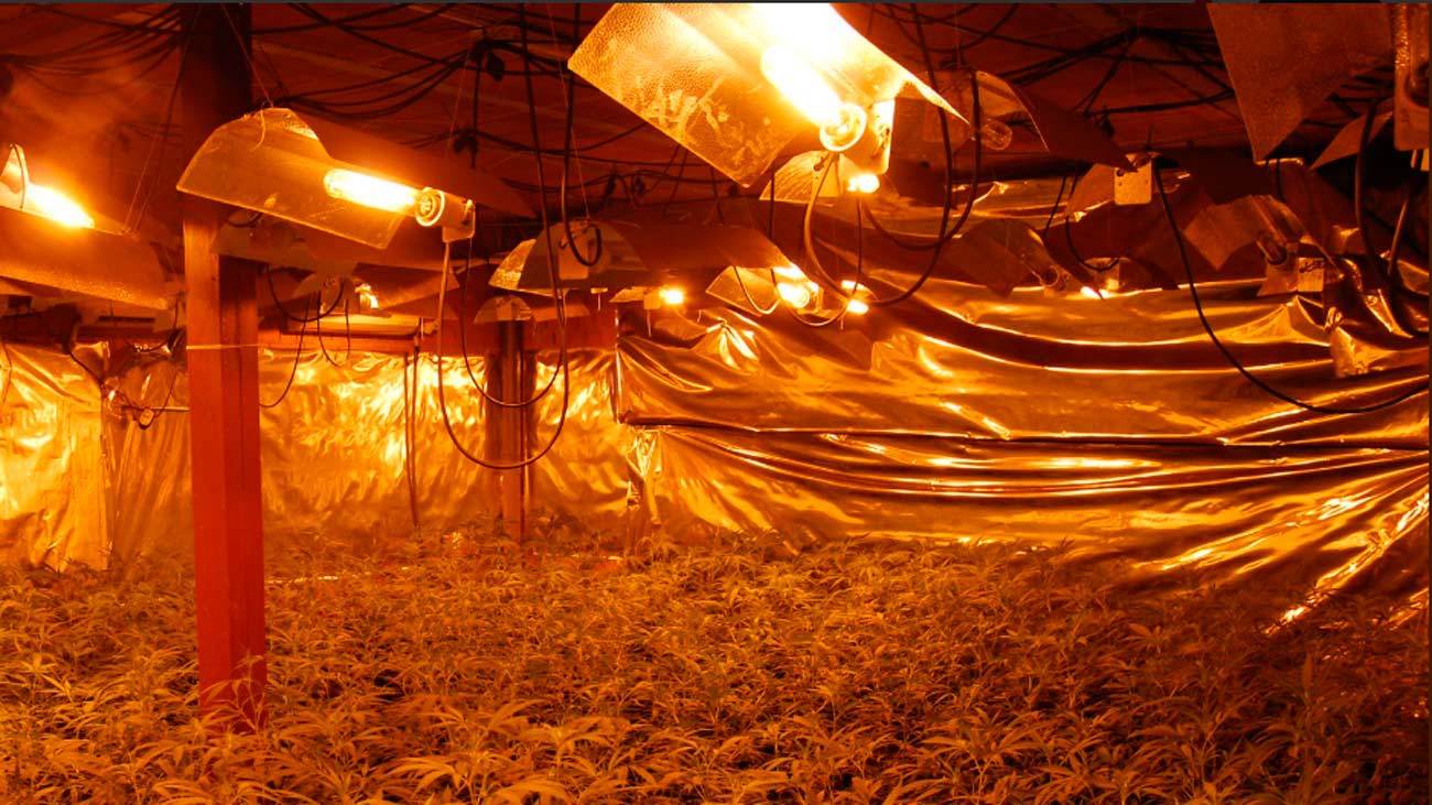 Imagen Operación Delta. Guardia Civil