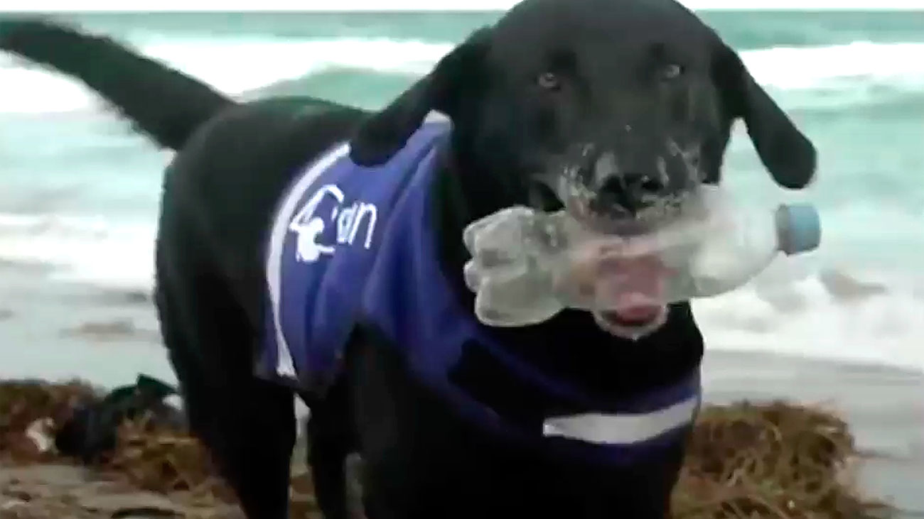 Una ecologista de cuatro patas