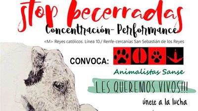 Más de 122.500 firmas contra las becerradas en San Sebastián de los Reyes
