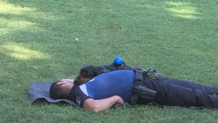 Perro policía practicando una RCP
