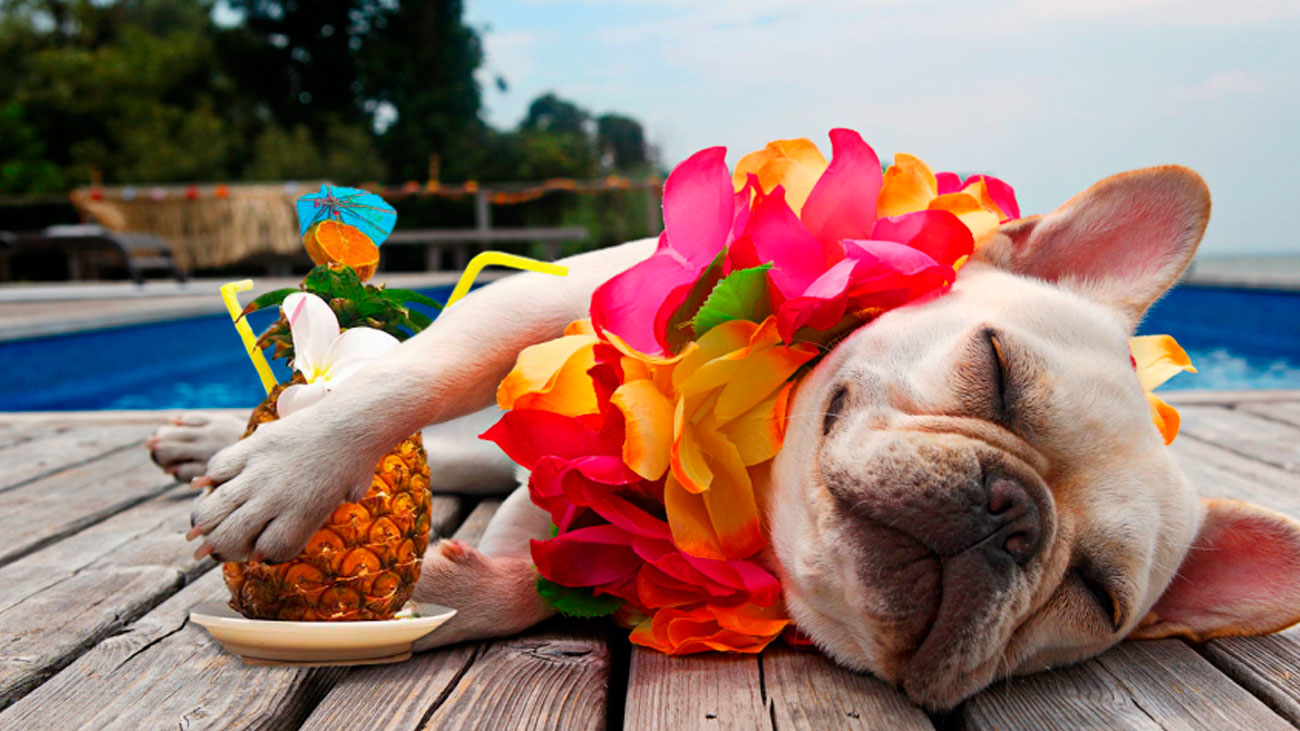 Un aumento de vacaciones podría alargarte la vida